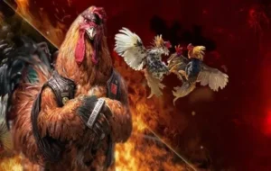 Cách Chơi Đá Gà Sabong Tại KING88: Hướng Dẫn Chi Tiết Cho Kê Thủ