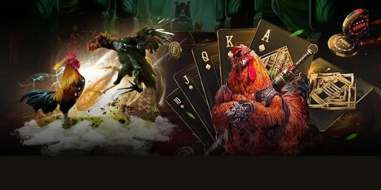 Đá Gà KING88: Bí Quyết Thắng Lớn Tại Đấu Trường Uy Tín