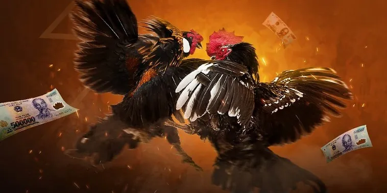 Cách Chơi Đá Gà 3D Tại KING88: Bí Kíp Thắng Lớn Dành Cho Kê Thủ 2 Cách Chơi Đá Gà 3D Tại KING88: Bí Kíp Thắng Lớn Dành Cho Kê Thủ