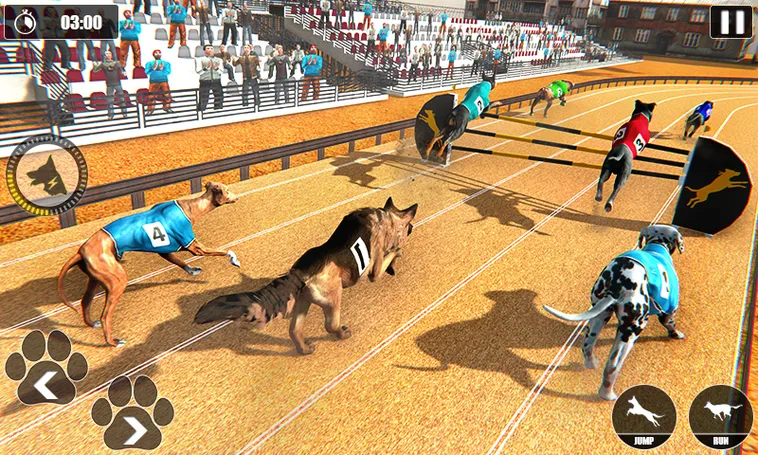 Hướng Dẫn Cách Chơi Game Nhanh Đua Chó Tại KING88 Tăng Tỷ Lệ Thắng 2 Hướng Dẫn Cách Chơi Game Nhanh Đua Chó Tại KING88 Tăng Tỷ Lệ Thắng